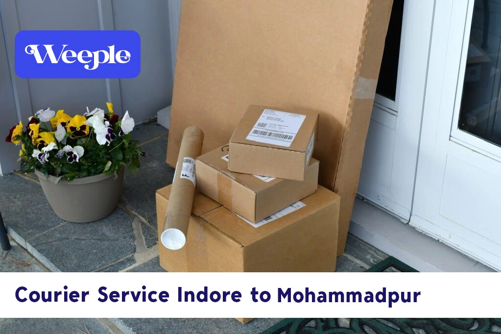 Parcel and Courier from Indore to Mohammadpur