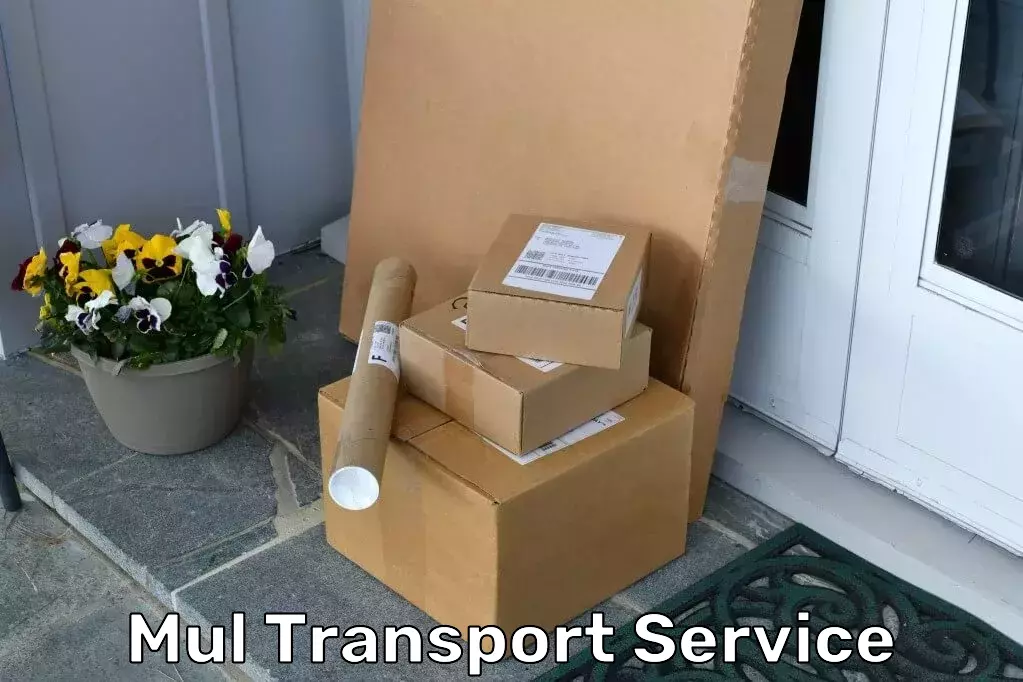 Innovative Transport Services in Mul