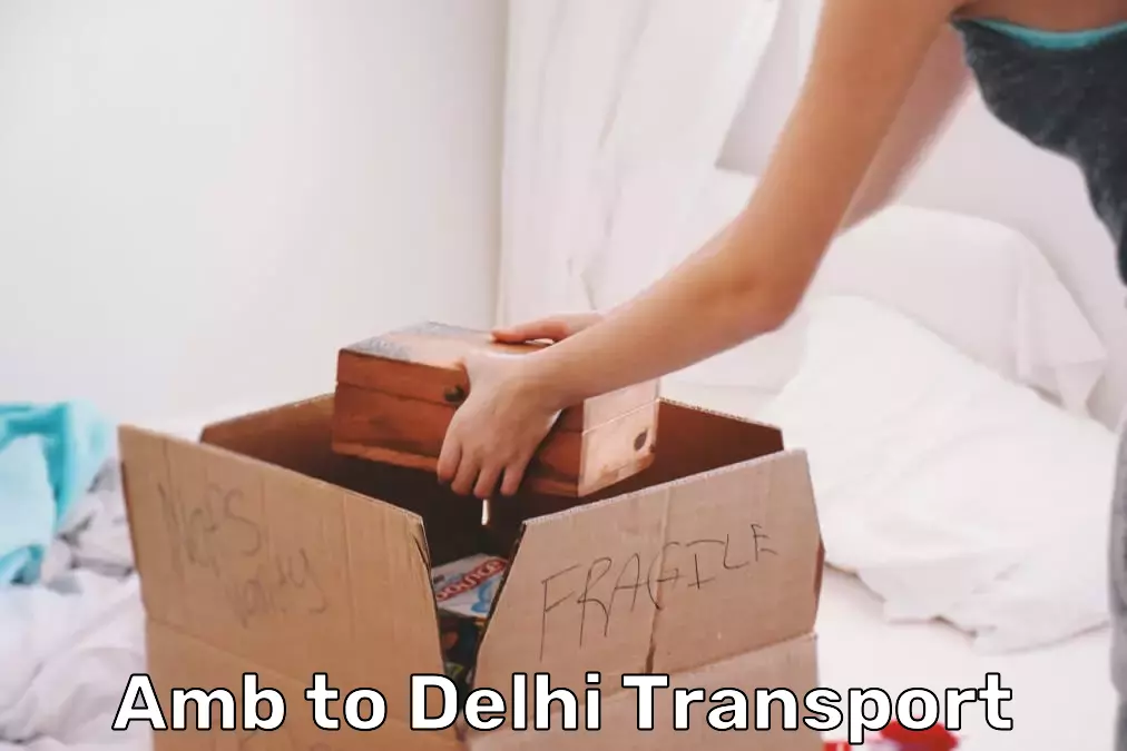 Shipment Tracking Services in Amb to Delhi