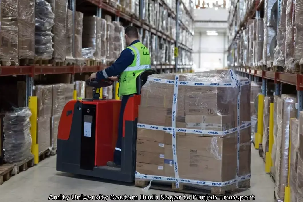 International Logistics Provider in Amity University Gautam Budh Nagar to Punjab