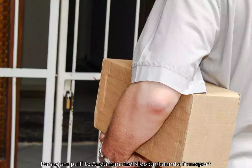 Professional Moving Services in Banaganapalli to Andaman and Nicobar Islands