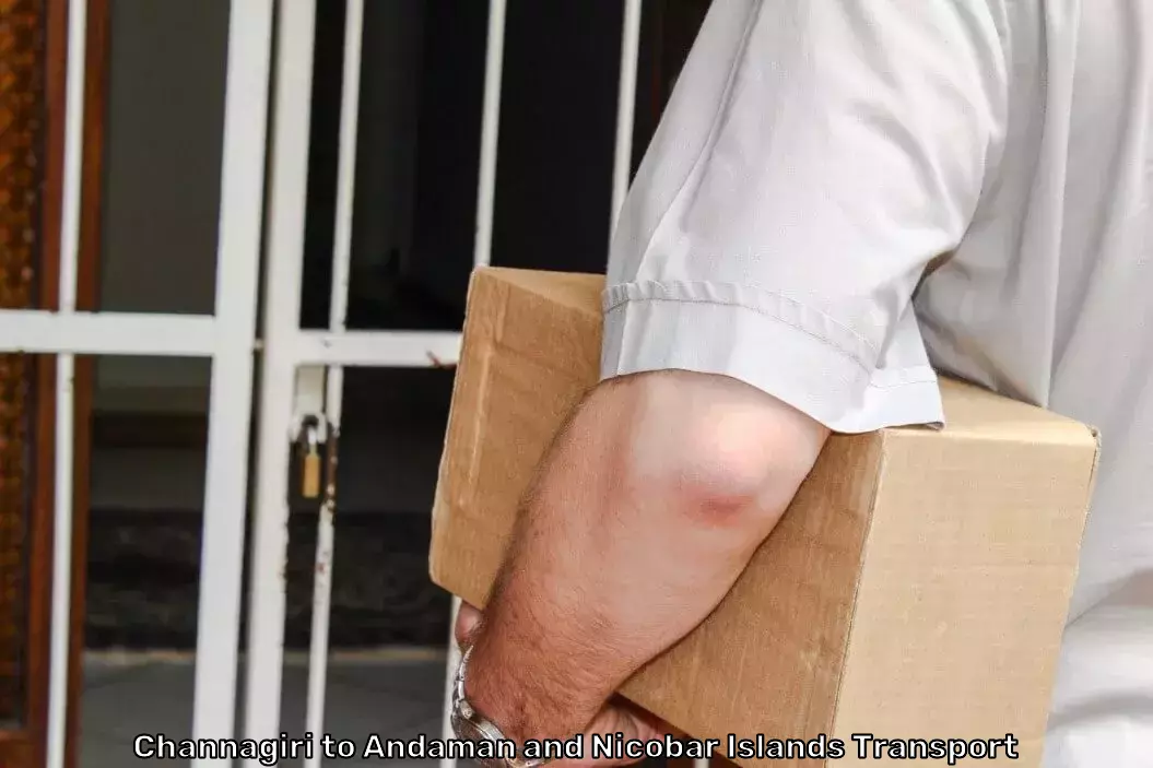 Secure Parcel Service in Channagiri to Andaman and Nicobar Islands