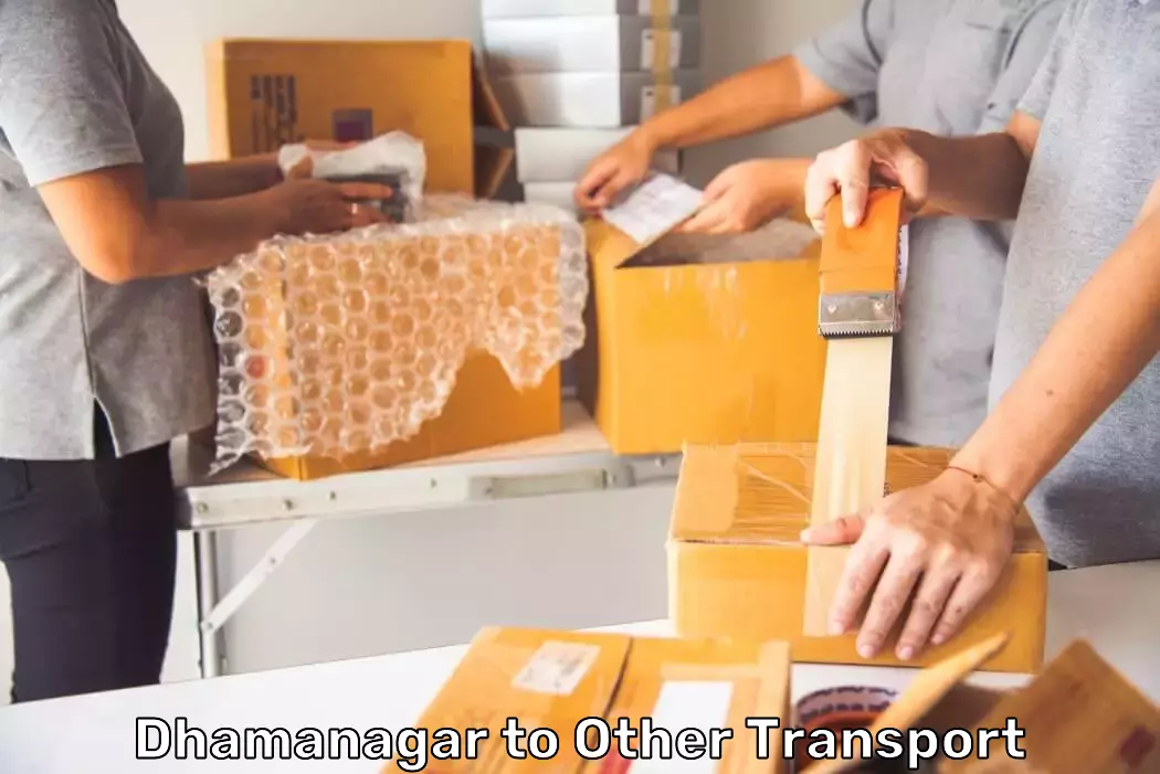 Time-critical Document Delivery in Dhamanagar to Other