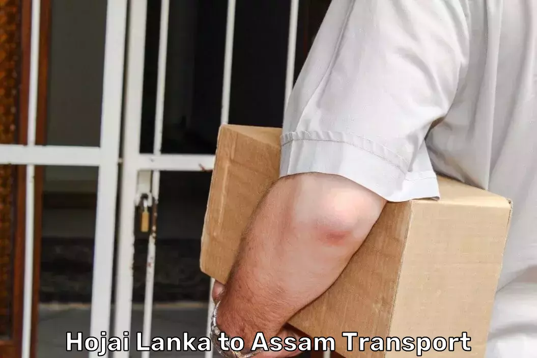 Terminal Logistics Solutions in Hojai Lanka to Assam