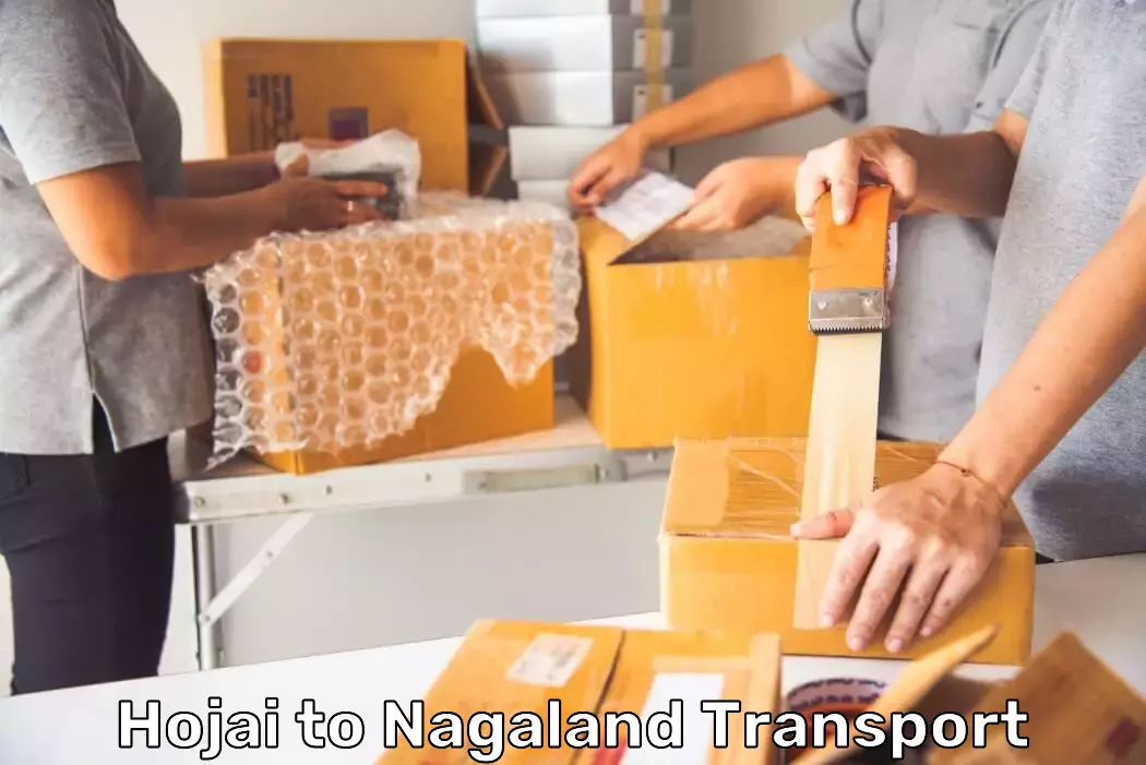 Door-to-door Delivery Services in Hojai to Nagaland