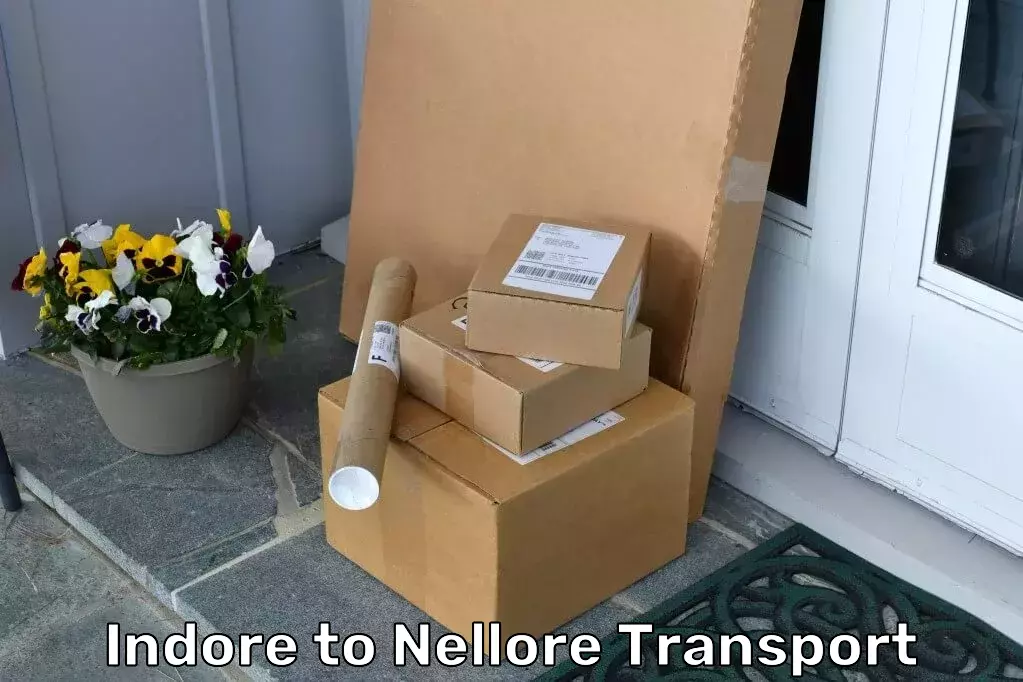 Return Logistics Services Indore to Nellore