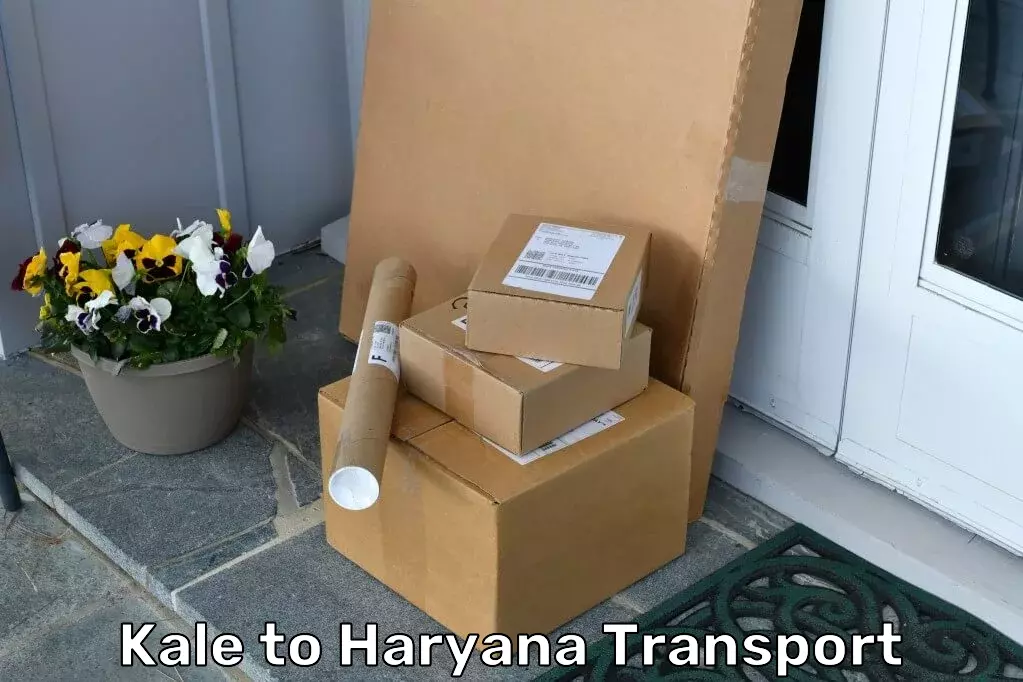 Door To Port Transport in Kale to Haryana