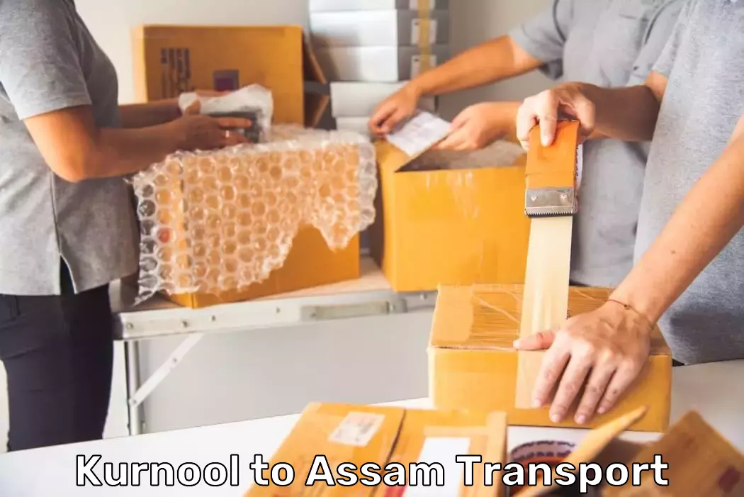 Parcel Service in Kurnool to Assam