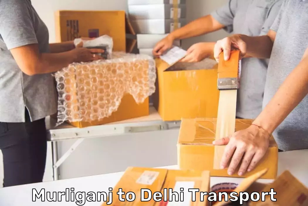 Flexible Transport Services in Murliganj to Delhi