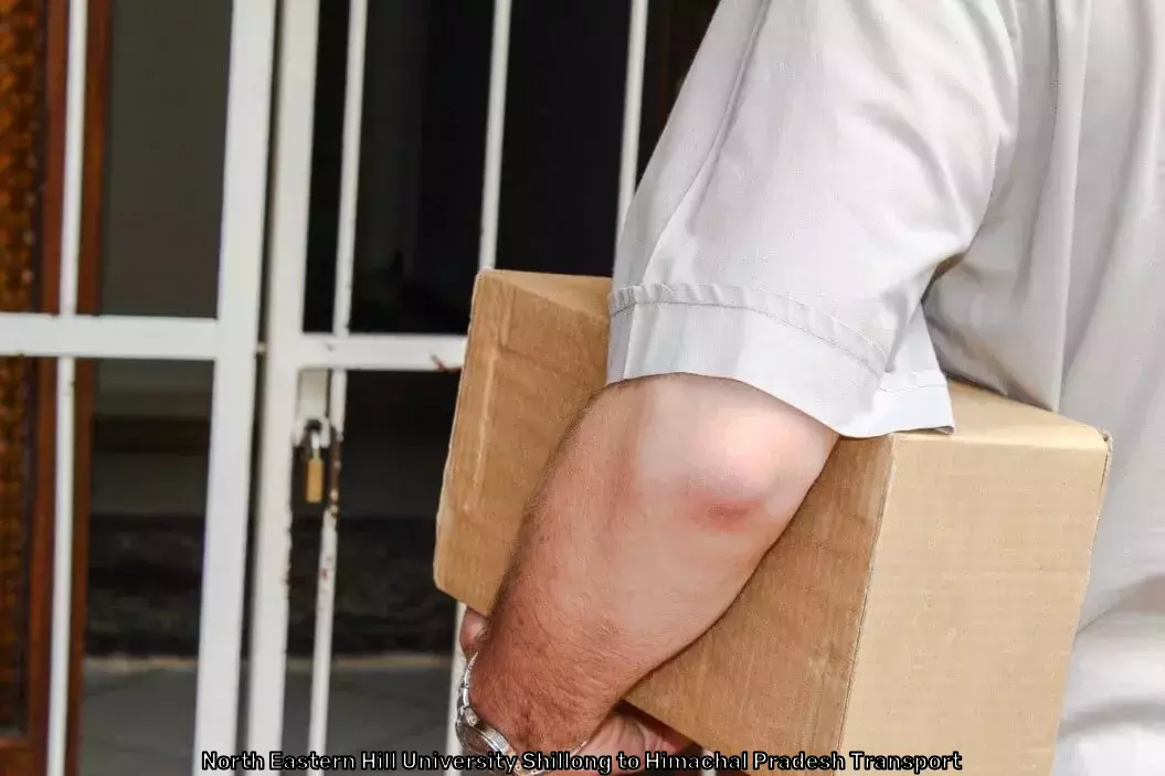 Expedited Shipping Services in North Eastern Hill University Shillong to Himachal Pradesh