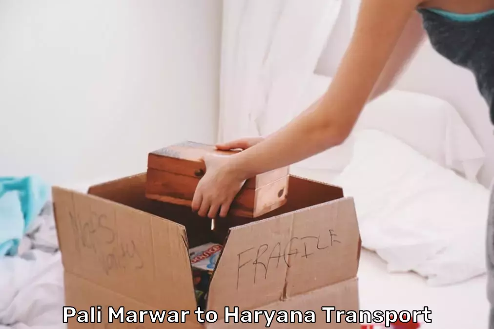 Heavy Item Movers in Pali Marwar to Haryana