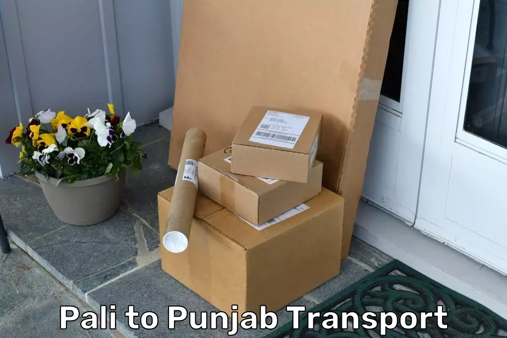 Transport For Manufacturing in Pali to Punjab