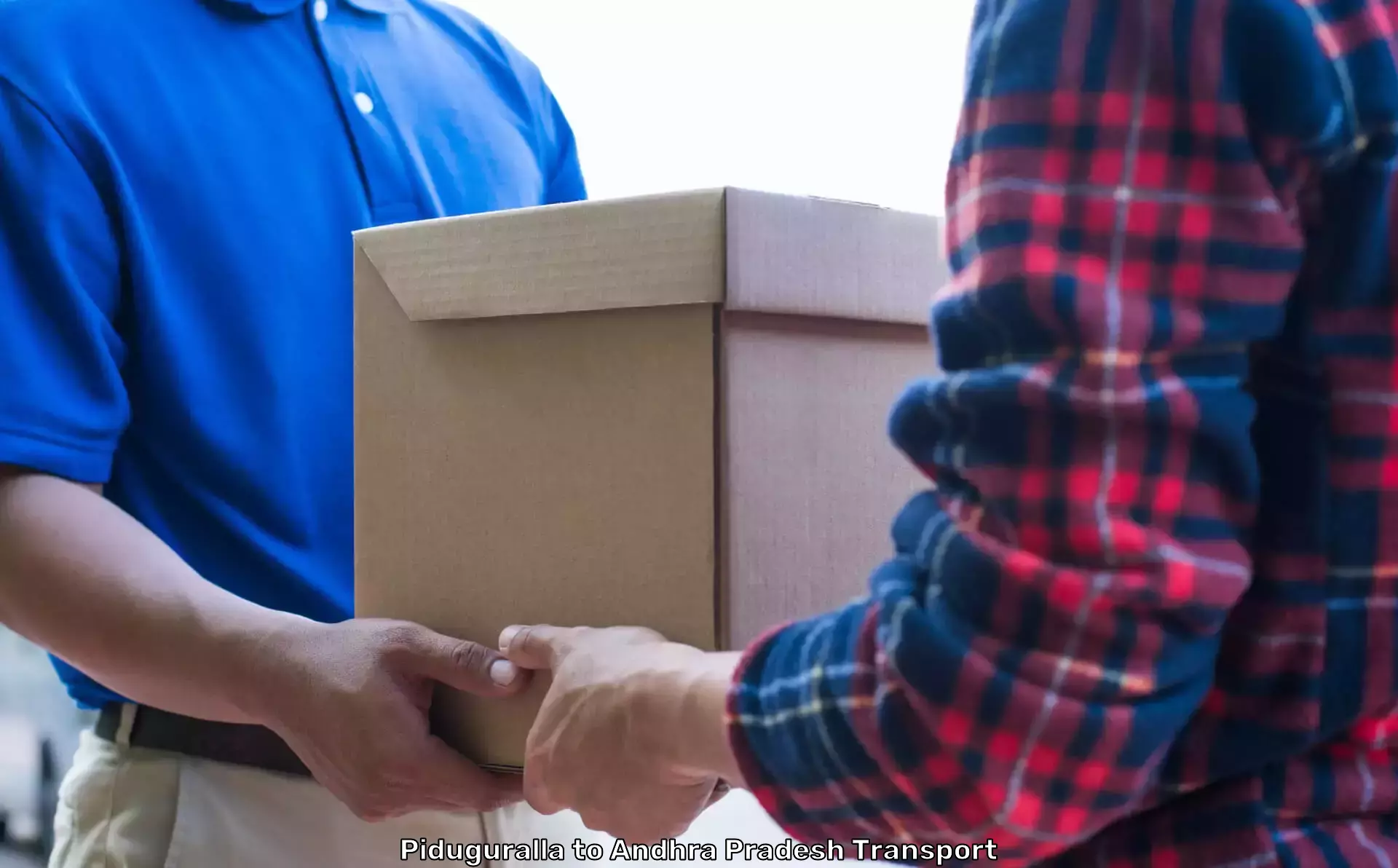 Expedited Shipping Services in Piduguralla to Andhra Pradesh