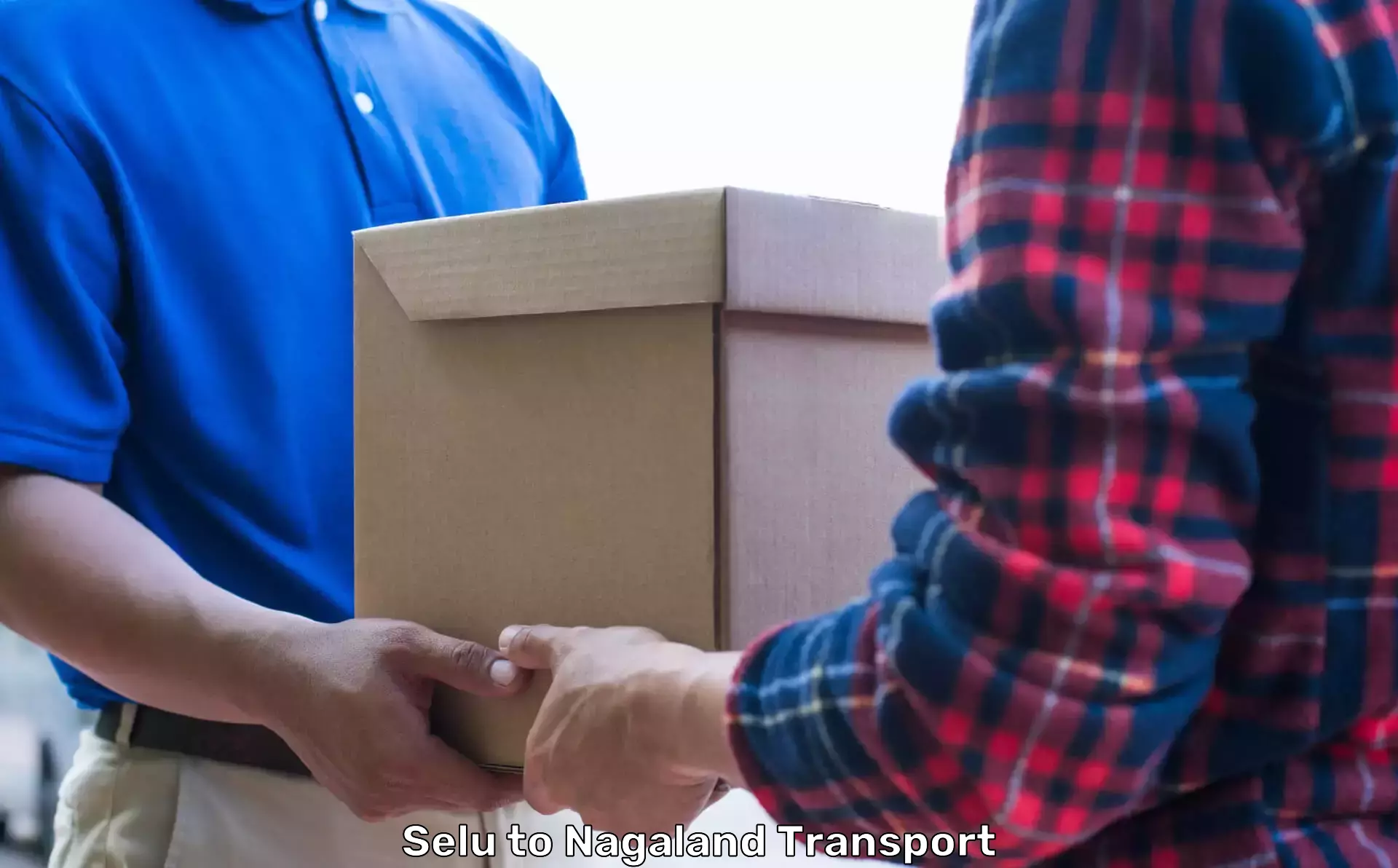 Custom Transport Solutions in Selu to Nagaland