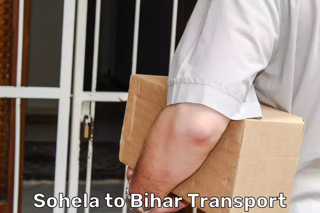 Inland Transportation Services in Sohela to Bihar