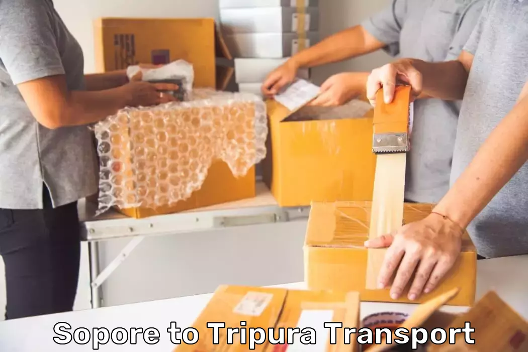 Import Logistics Services in Sopore to Tripura
