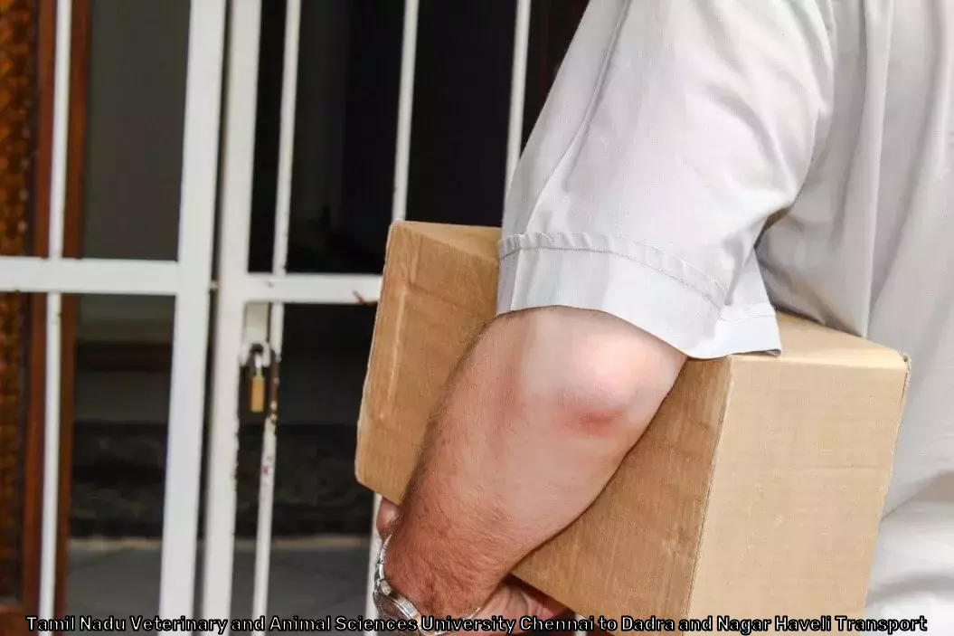 Secure Parcel Service in Tamil Nadu Veterinary and Animal Sciences University Chennai to Dadra and Nagar Haveli